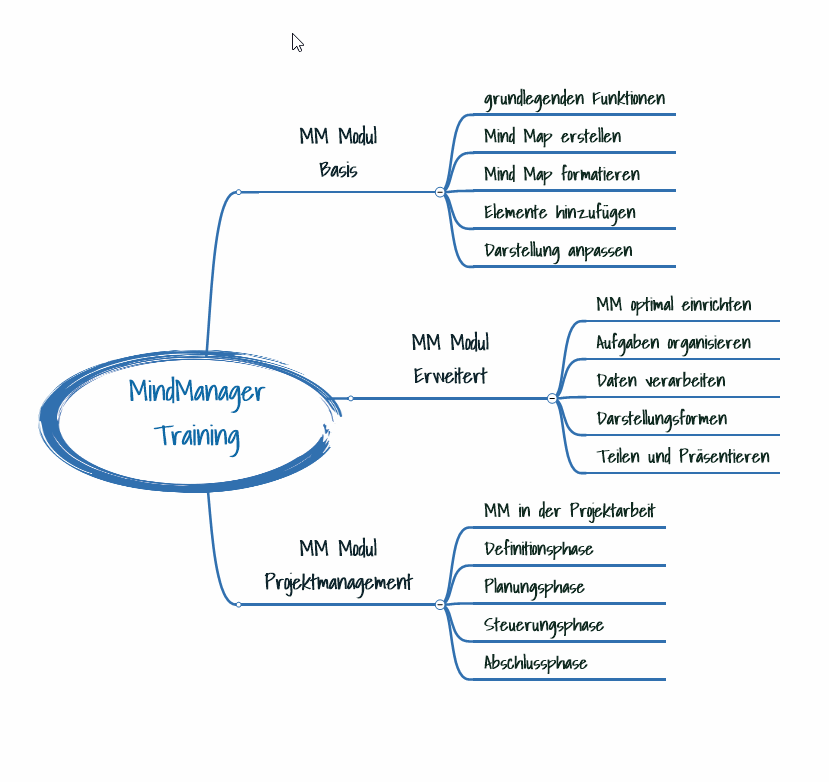 Mindmanager Modul Erweitert Ren Winter Beratung Coaching Training